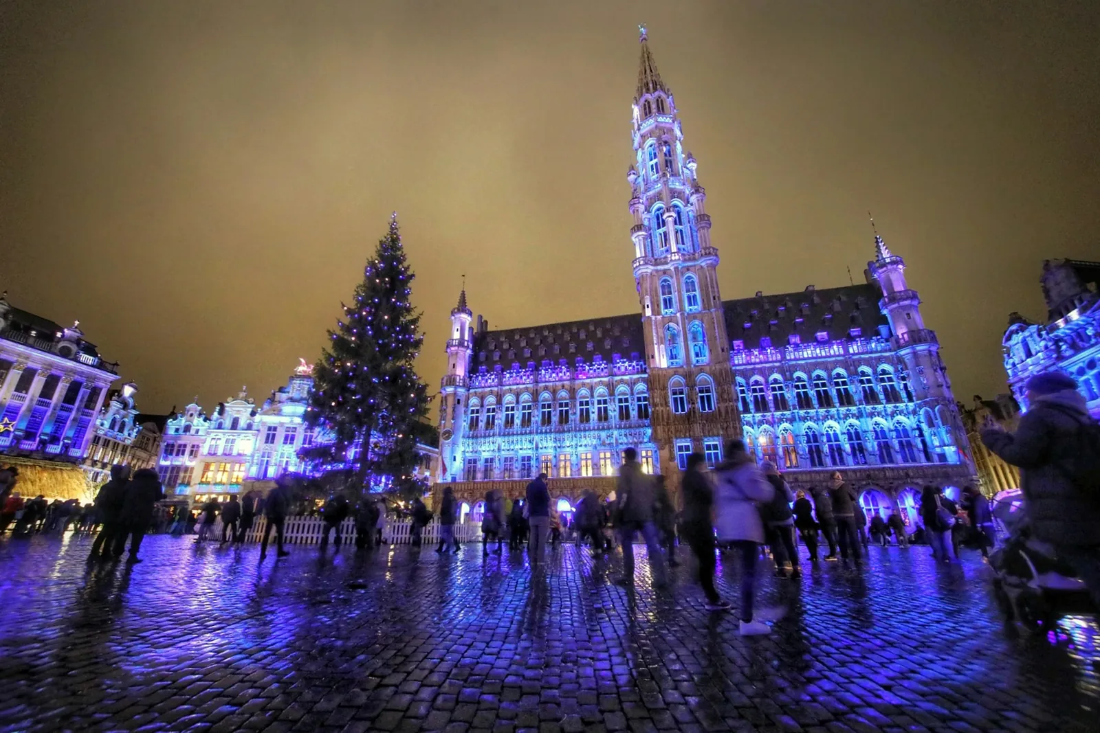 Gente con abrigos de invierno cruza de noche los adoquines mojados de la Grand-Place de Bruselas, junto a un árbol de Navidad iluminado y el Ayuntamiento teñido de violeta.