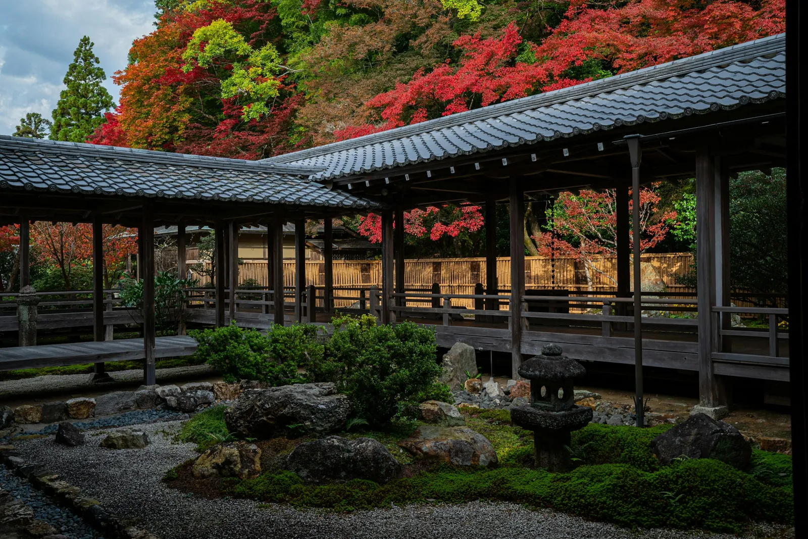 A covered wooden walkway runs around a temple garden of raked gravel, moss and a stone lantern in Kyoto, under maples turned red and orange.