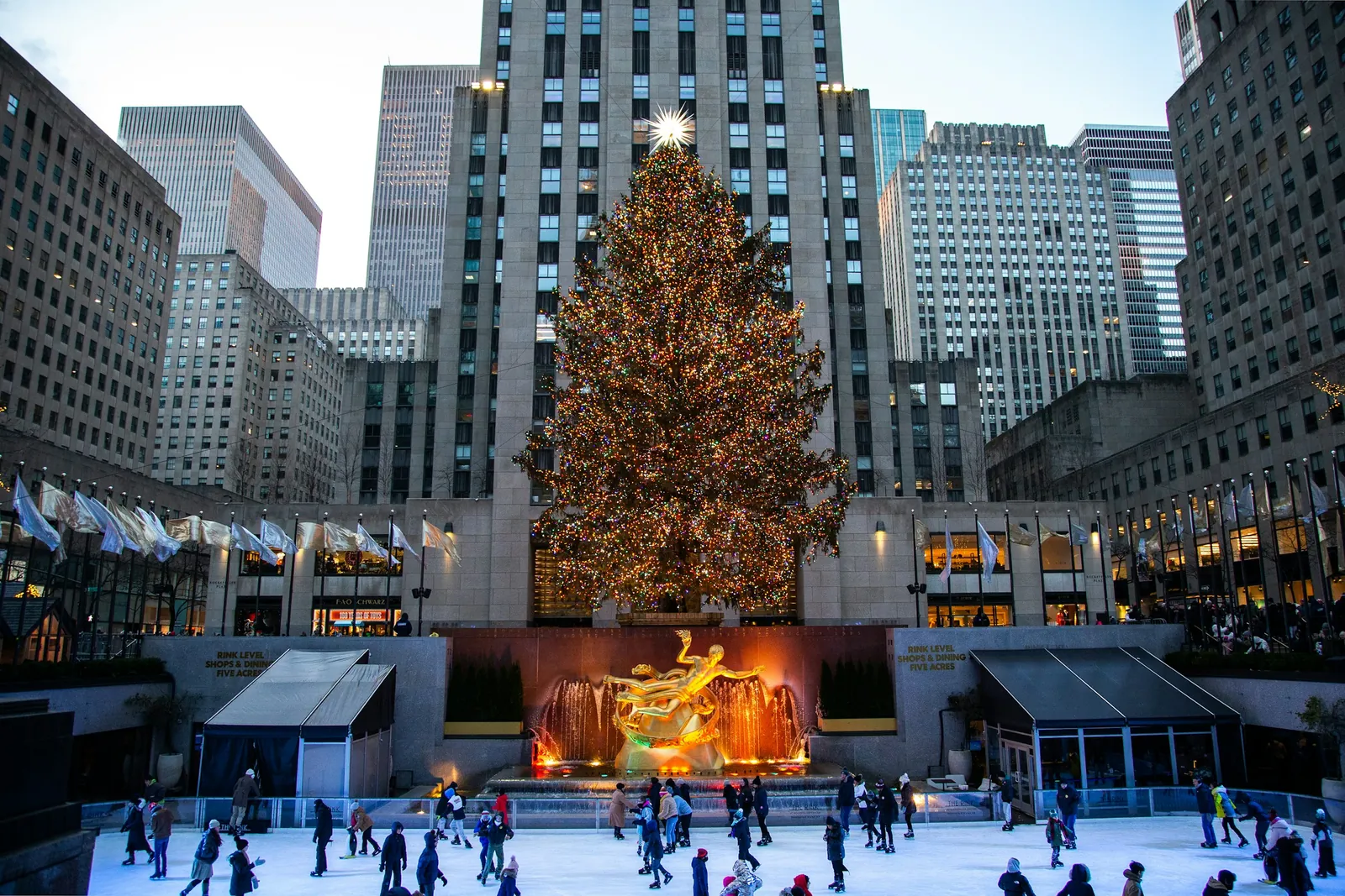 A árvore de Natal iluminada do Rockefeller Center se eleva sobre a estátua dourada de Prometeu e a pista de patinação cheia de gente.