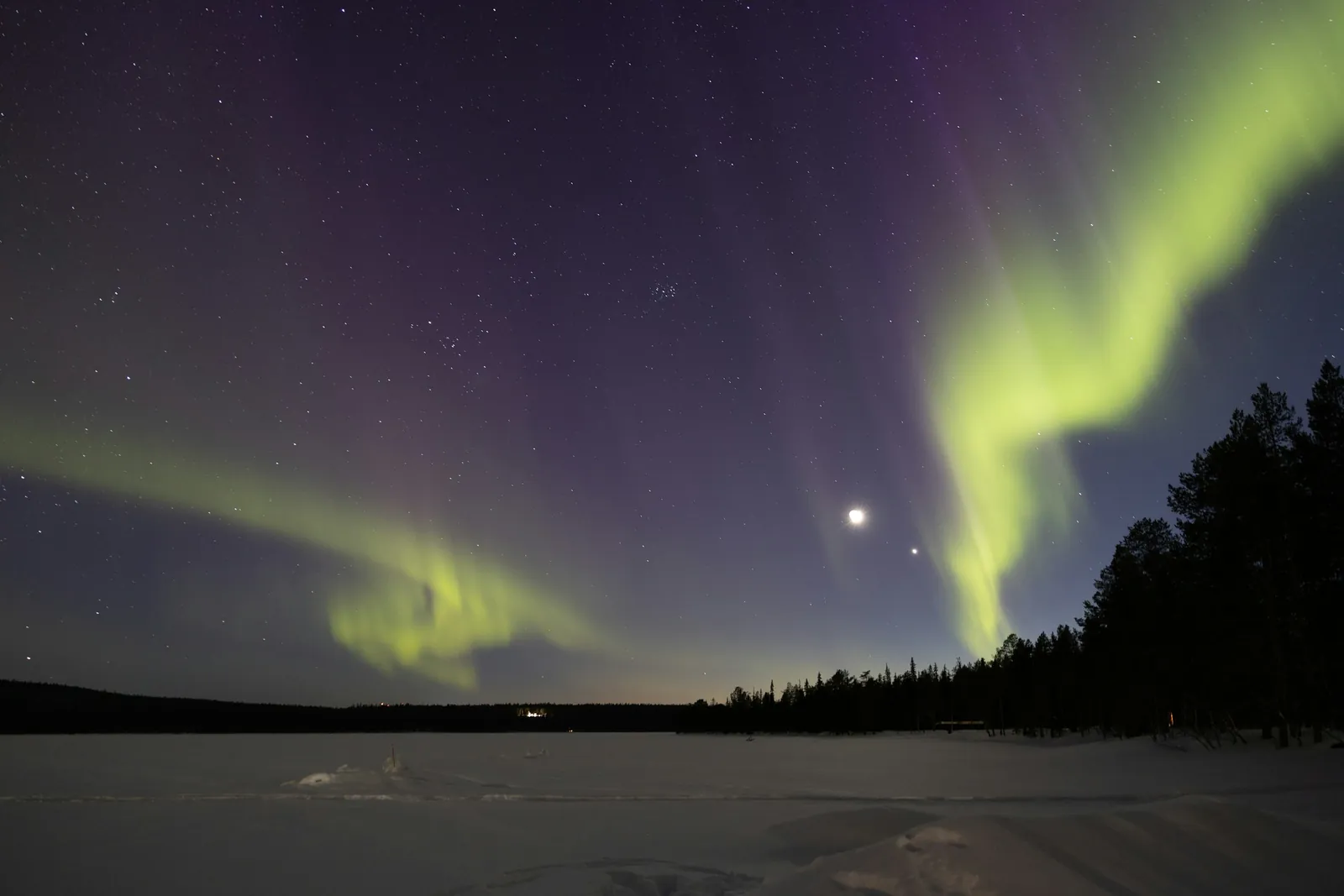 Green northern lights arc over a frozen lake and a dark line of pine trees under a starry sky.
