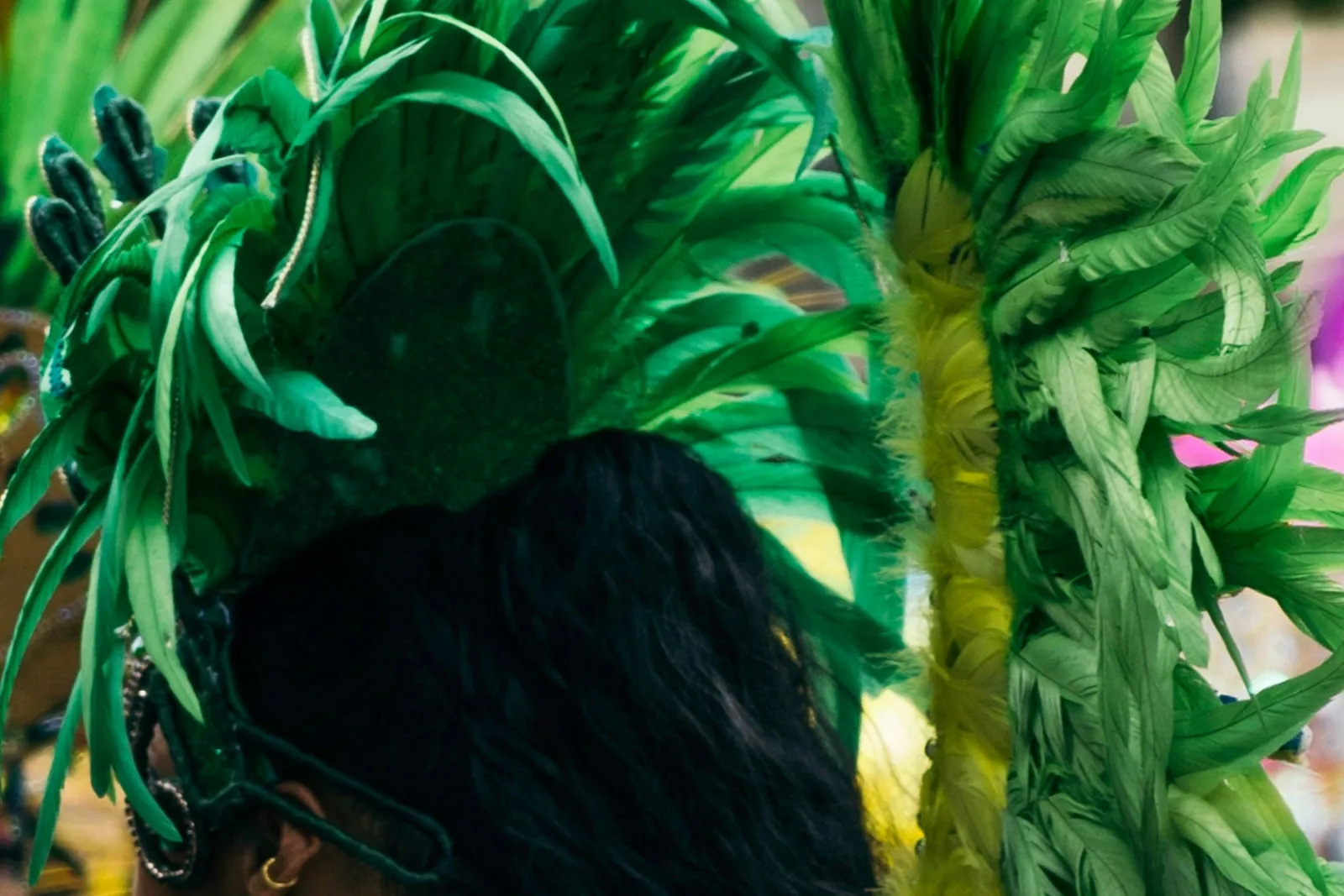 The back of a Carnival reveller's head, framed by a tall headdress of green and yellow feathers.