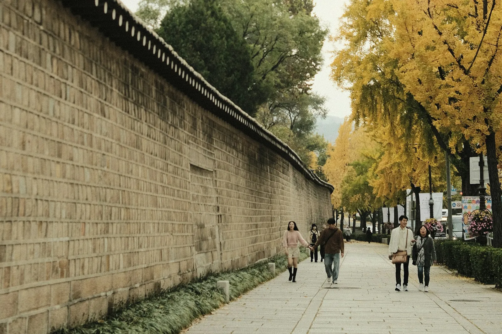 Pessoas caminhando ao longo do comprido muro de pedra do palácio Gyeongbokgung, em Seul, sob ginkgos amarelos.